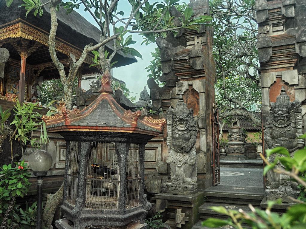 Angga Ubud (Bali)